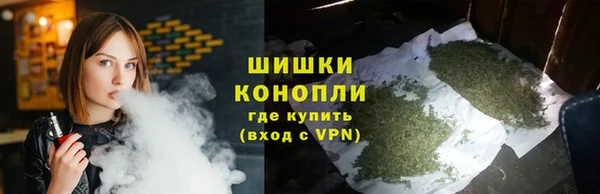 ПСИЛОЦИБИНОВЫЕ ГРИБЫ Новодвинск