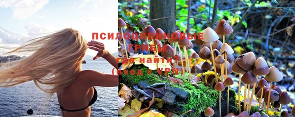 бутик Новозыбков