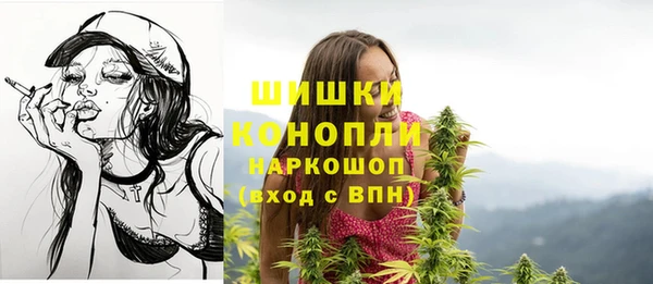 ПСИЛОЦИБИНОВЫЕ ГРИБЫ Новодвинск