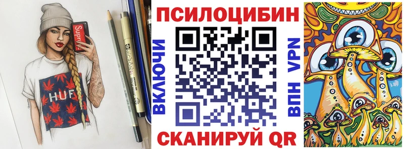 блэк спрут как зайти  Холмск  Псилоцибиновые грибы мицелий 
