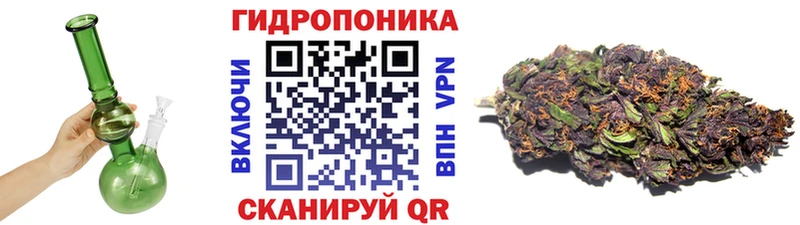 Бошки Шишки White Widow  Холмск 